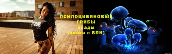 эйфоретик Алзамай