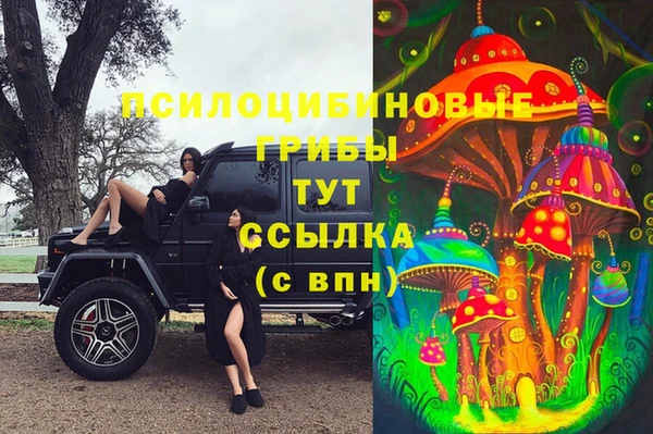 кокс Алексин