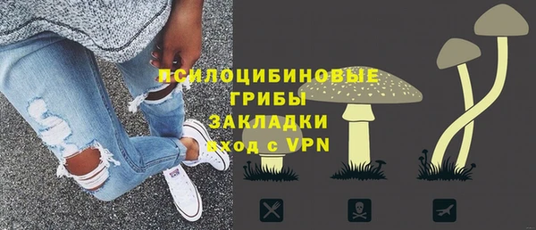 эйфоретик Алзамай