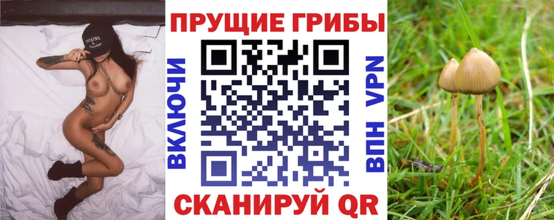 цены наркотик  Мамоново  Псилоцибиновые грибы MAGIC MUSHROOMS 